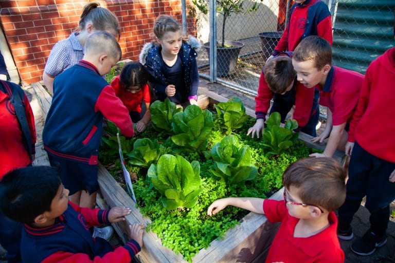 Curriculum Golden Grove Primary School